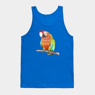 Stunning Harlequin Macaw On A Perch Vector Art Tank Top